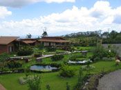Pools andd Villas at El Silencio del Campo  